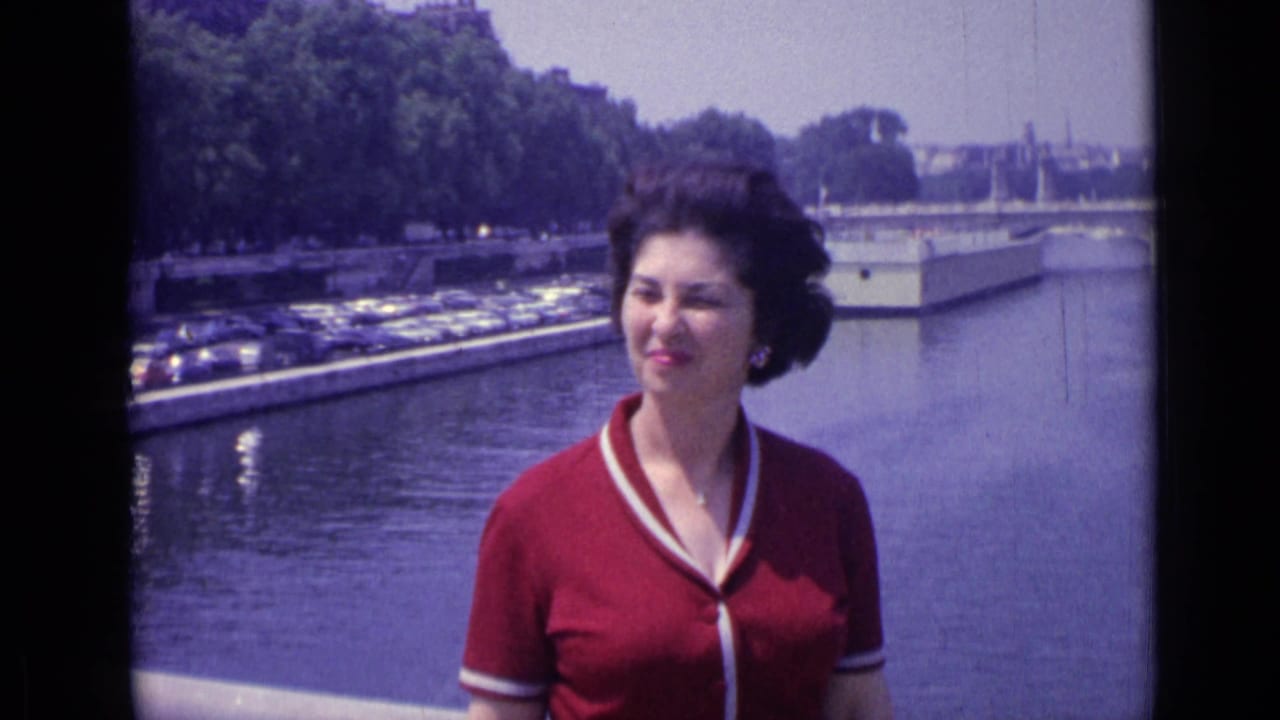 The woman looks to the side on a Versailles river bridge, with parked cars and trees lining the far bank.
