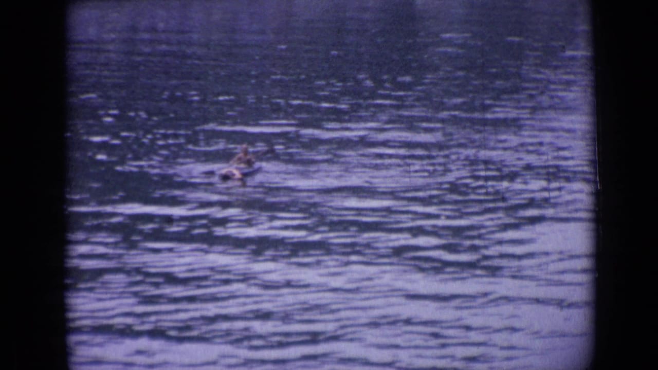 The paddler appears lower in the 1962 Versailles frame, moving through softly tinted rippled water captured on 8mm film.