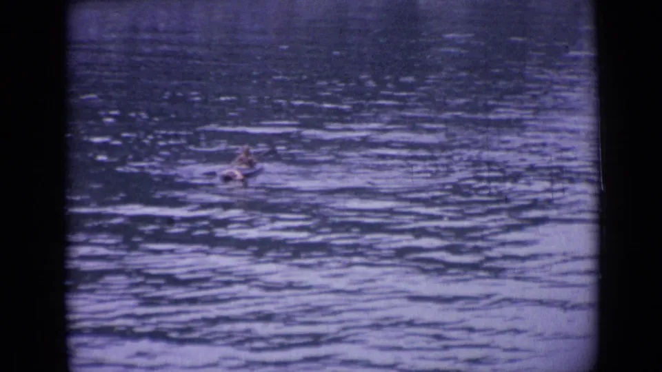 The paddler appears lower in the 1962 Versailles frame, moving through softly tinted rippled water captured on 8mm film.