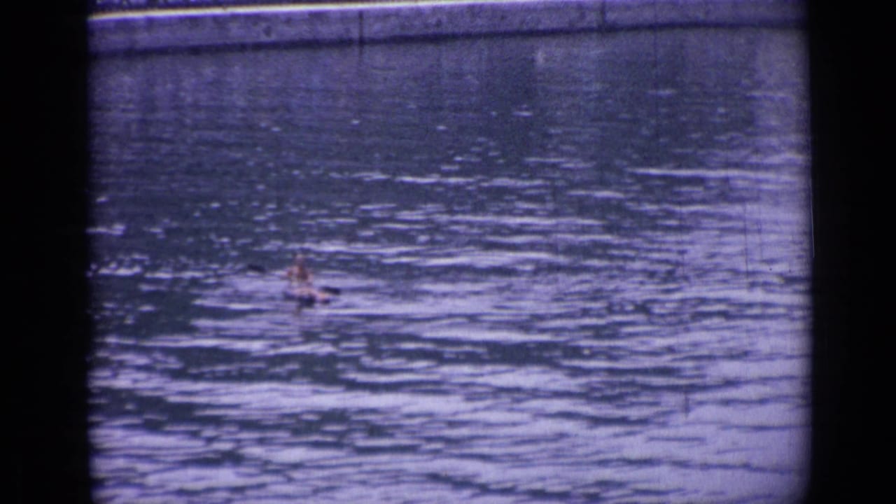 A distant paddler remains visible on the Versailles water surface, rendered with soft focus, grain, and purple-blue 8mm color.