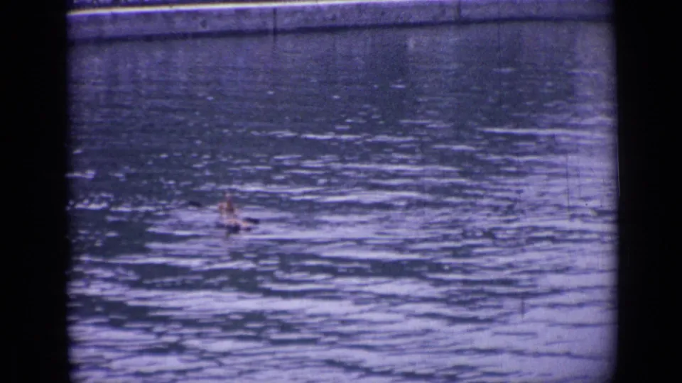 A distant paddler remains visible on the Versailles water surface, rendered with soft focus, grain, and purple-blue 8mm color.