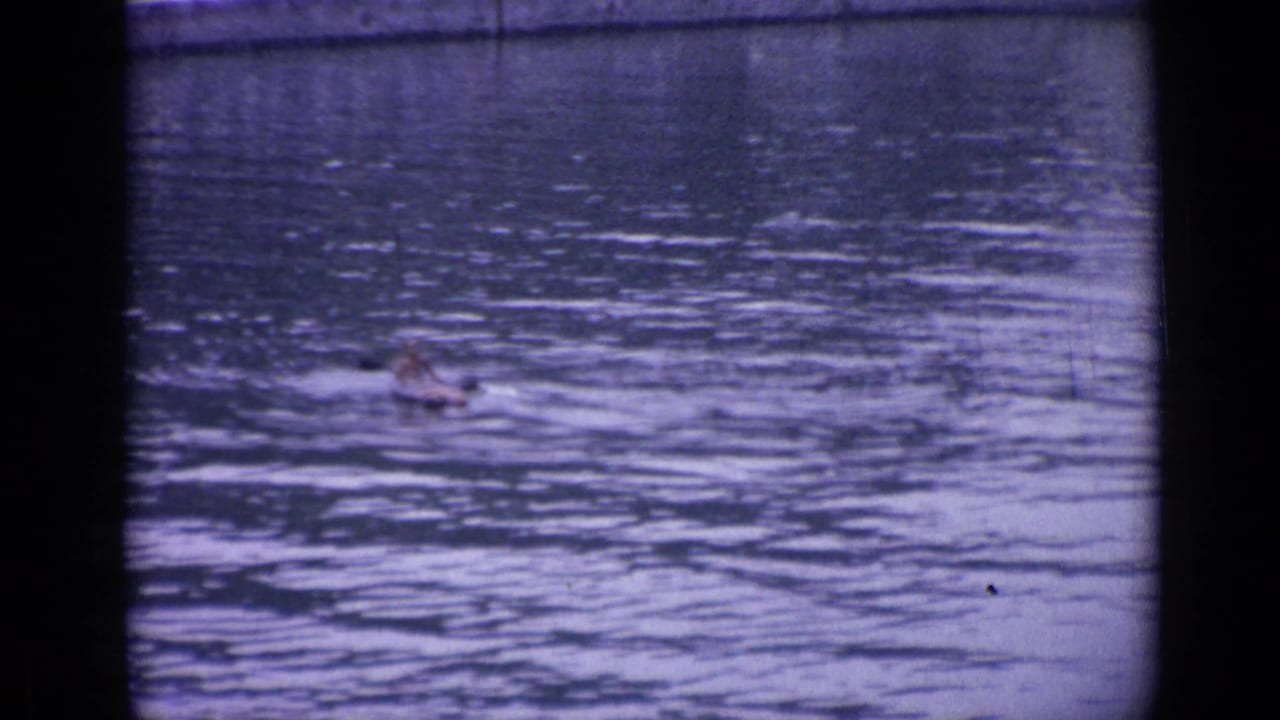 Small canoeist crossing rippling lake water in distant view.