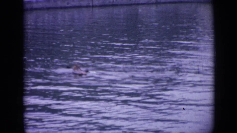 Distant canoeist paddling across rippling water in 1962 Versailles home-movie footage.