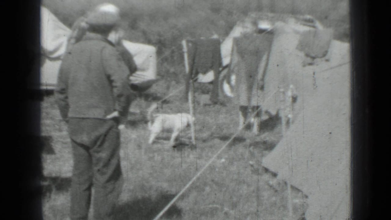 Adult in a cap stands near tents, a clothesline, camping gear, and a small dog.