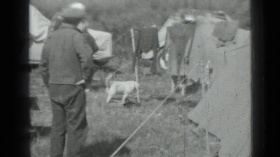 1967 Saint Petersburg camping scene with an adult in a cap, canvas tents, hanging clothes, and a small dog at the site.