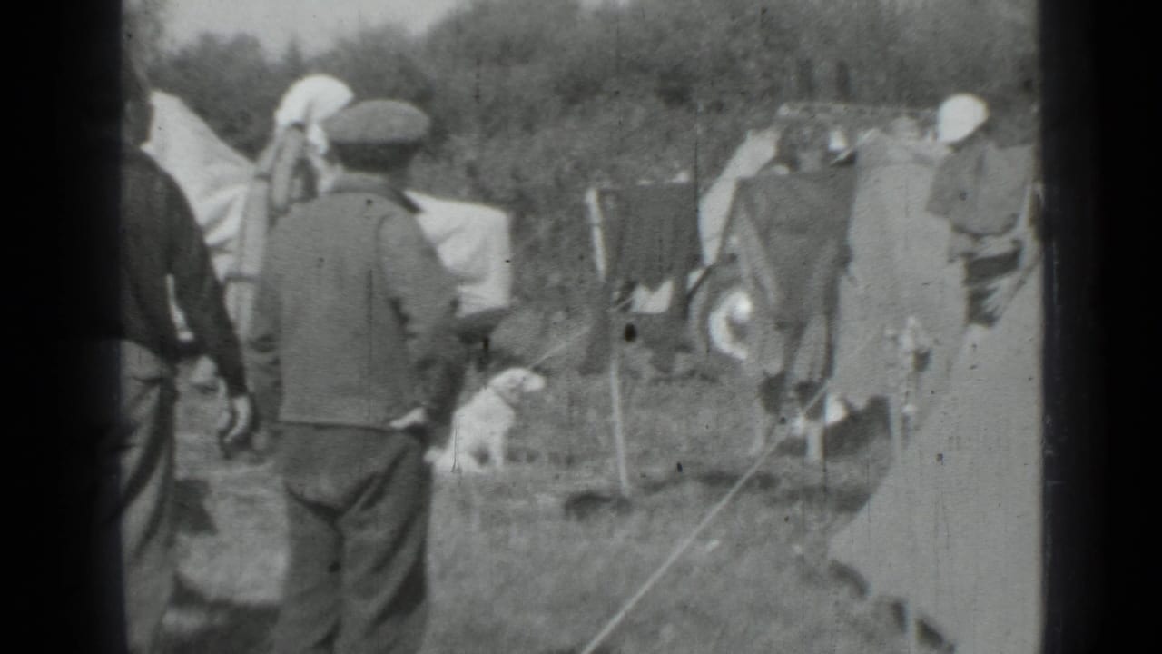 Adults in coats and caps move around a Saint Petersburg campsite with tents, hanging laundry, and a small dog nearby.