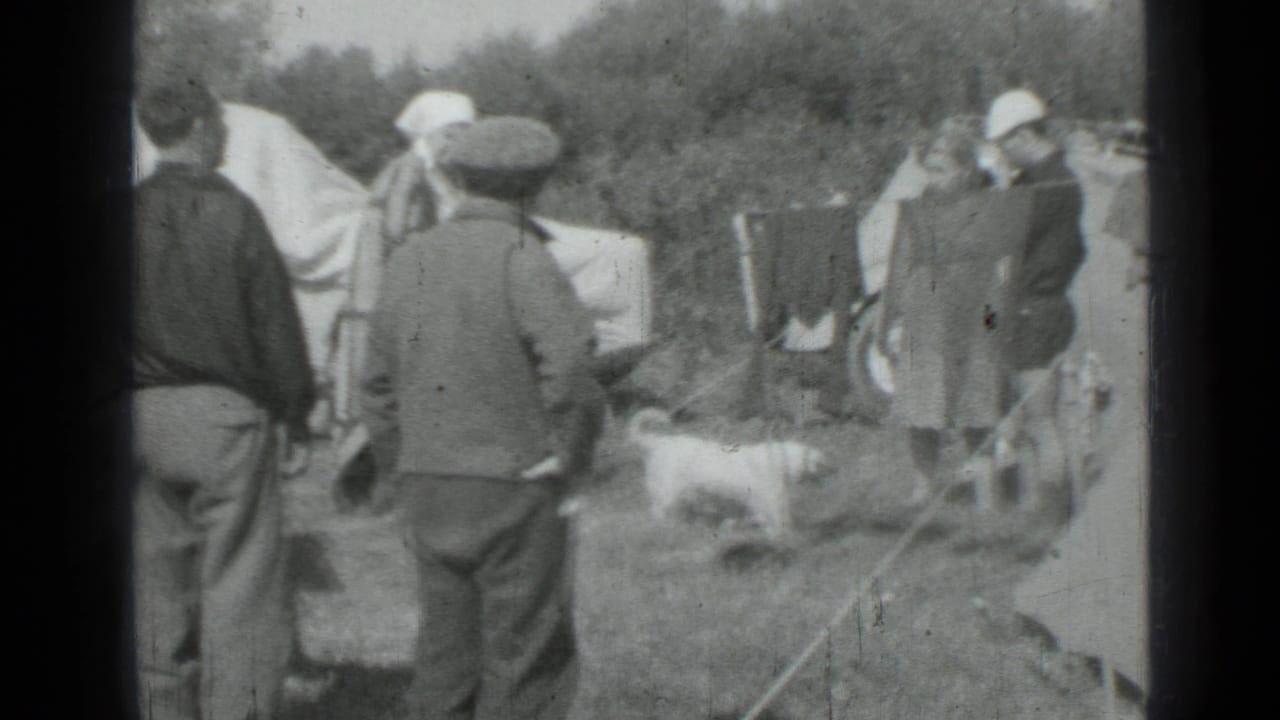 The final frame shows adults at a grassy campsite in Saint Petersburg with tents, laundry, and a small white dog crossing below.