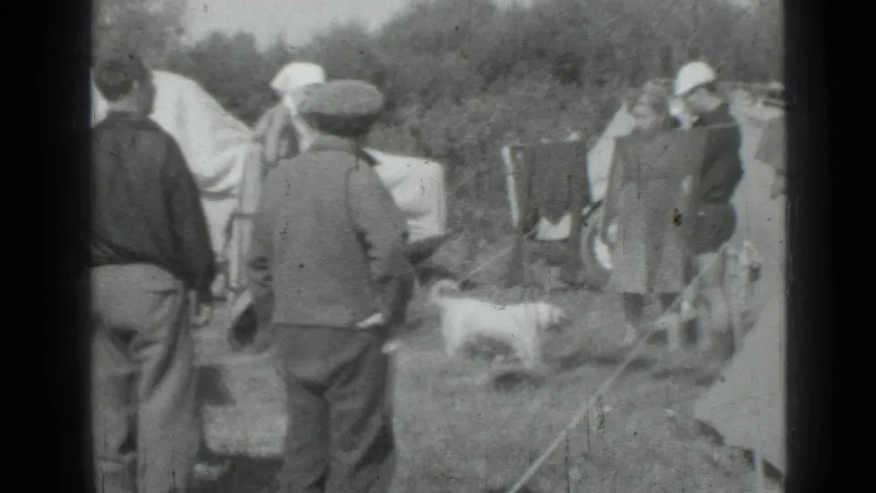 The final frame shows adults at a grassy campsite in Saint Petersburg with tents, laundry, and a small white dog crossing below.