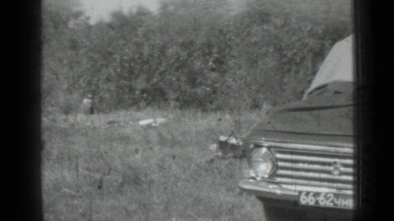 Partial view of the sedan at the edge of a grassy roadside area, with trees and soft 8mm grain visible.