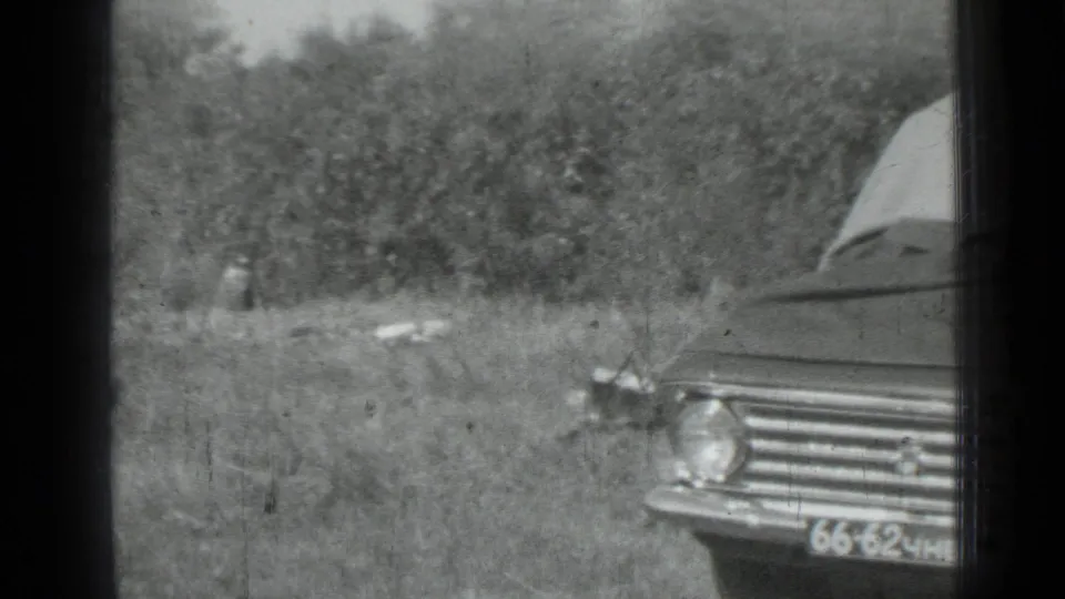 Partial view of the sedan at the edge of a grassy roadside area, with trees and soft 8mm grain visible.