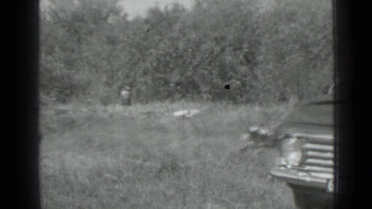 1967 home-movie frame from Saint Petersburg metadata showing part of a parked sedan beside grass and trees.
