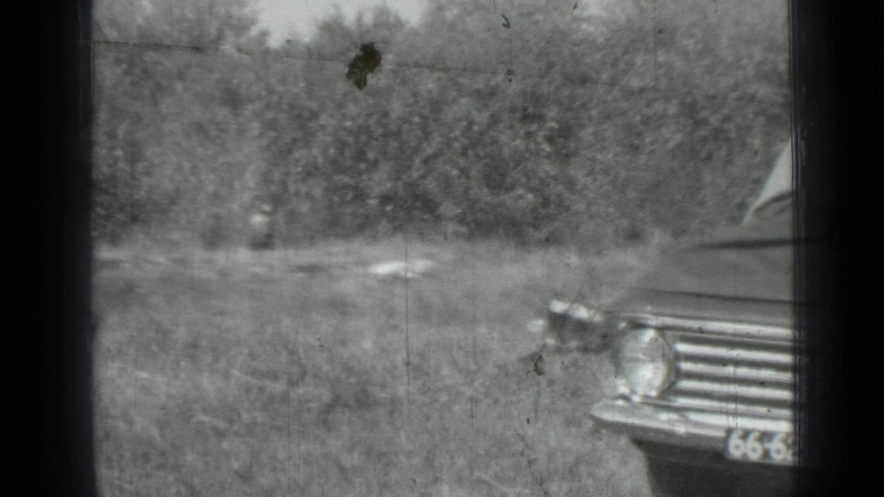 Front corner of a parked sedan appears beside grass and trees, with a partial plate visible.