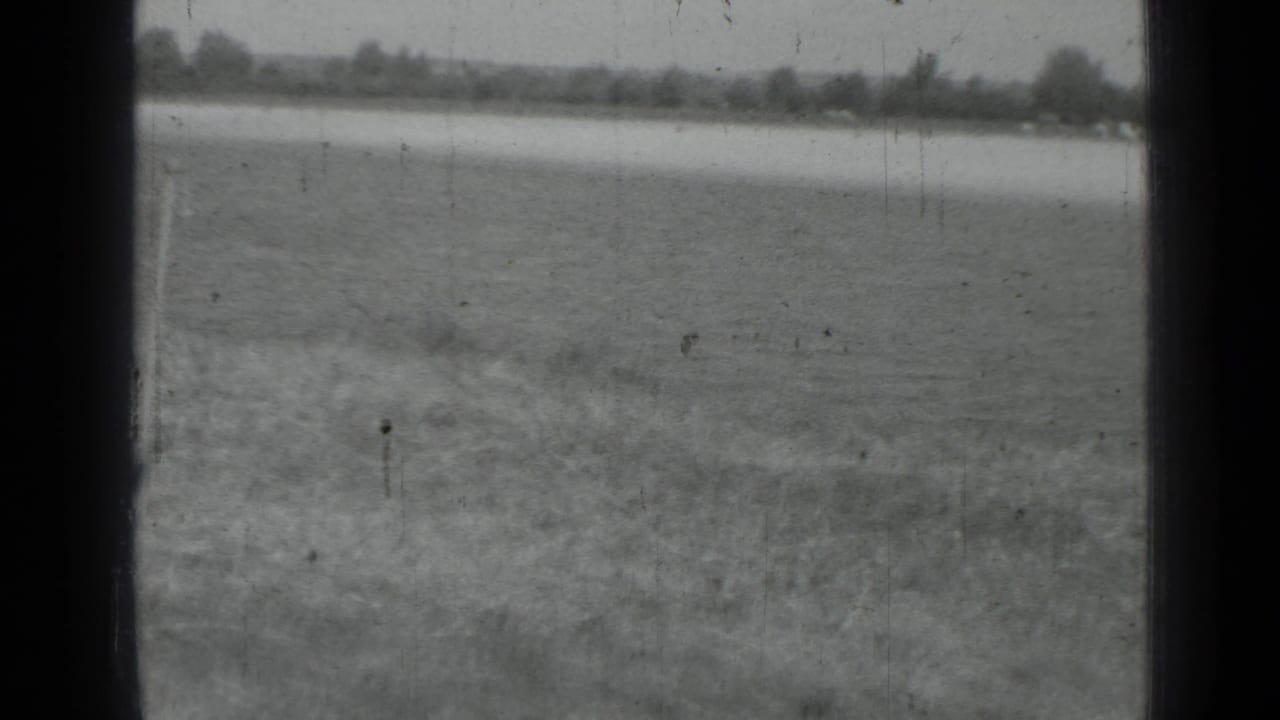 Black-and-white 8mm view of an open rural landscape with grass in the foreground and a light horizontal strip near the tree line.