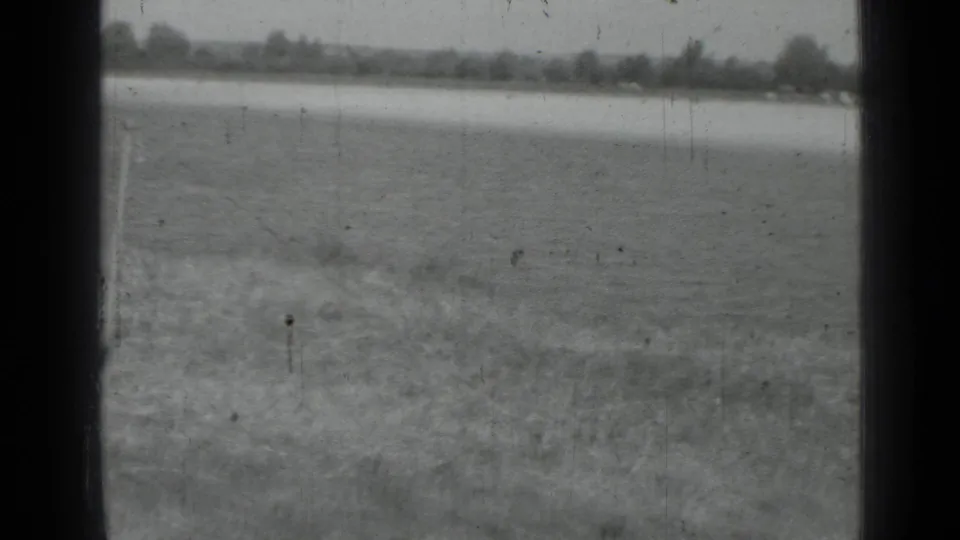 Black-and-white 8mm view of an open rural landscape with grass in the foreground and a light horizontal strip near the tree line.