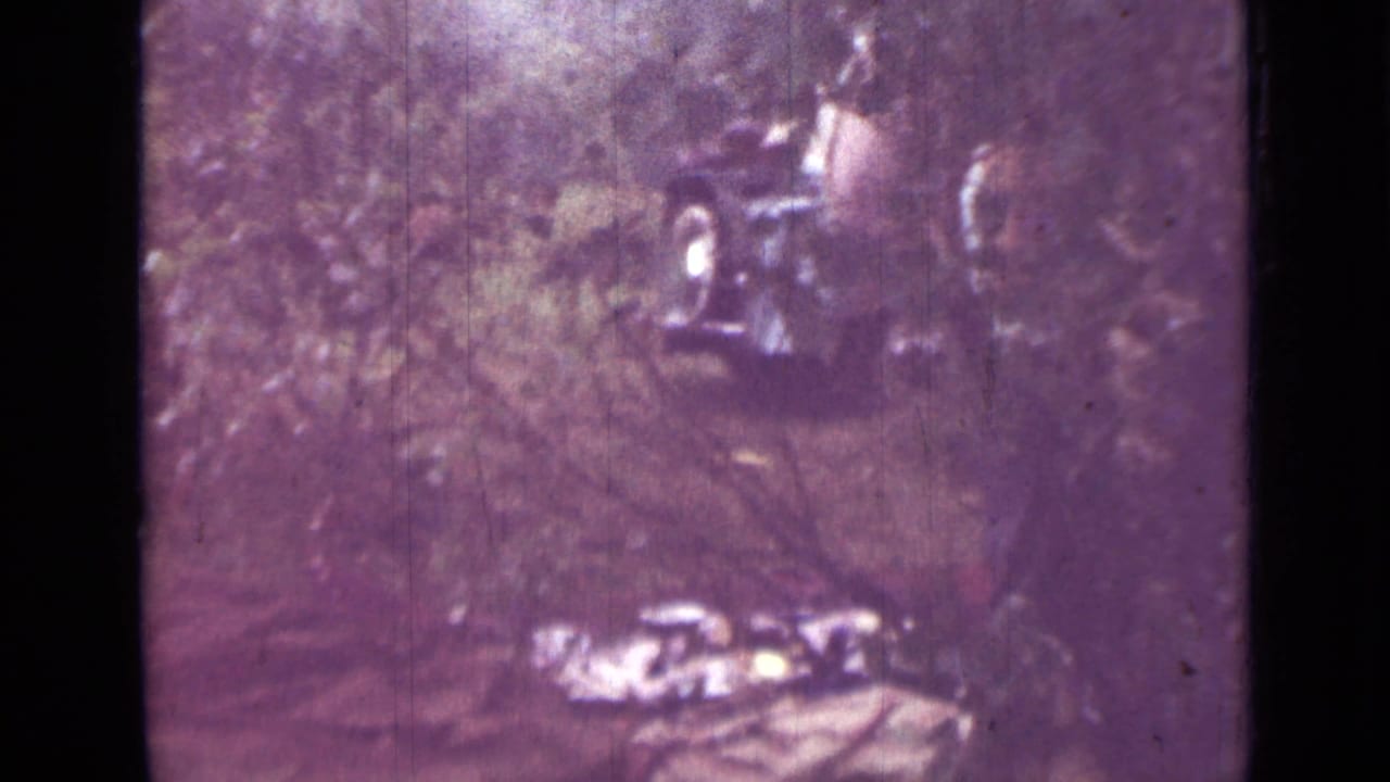 Wooded clearing with brush, bright ground patches, and indistinct shapes in the background.