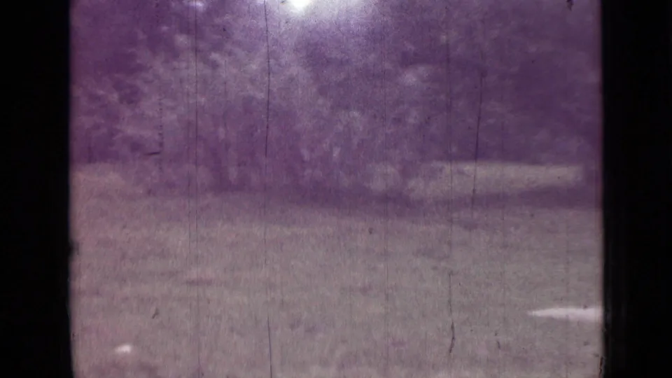1967 Saint Petersburg 8mm frame of a grassy field bordered by brush and leafy trees, with grain and color shift visible.
