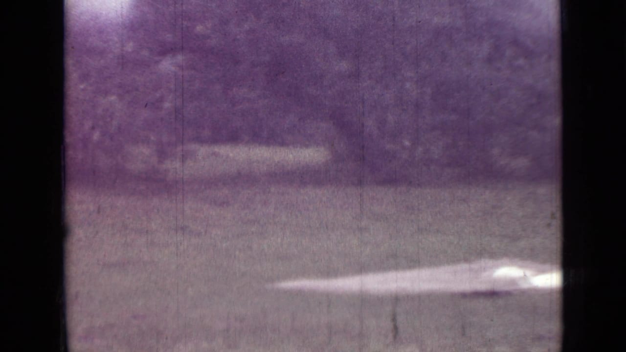 Grassy clearing with pale camping fabric on the ground and trees in the background.
