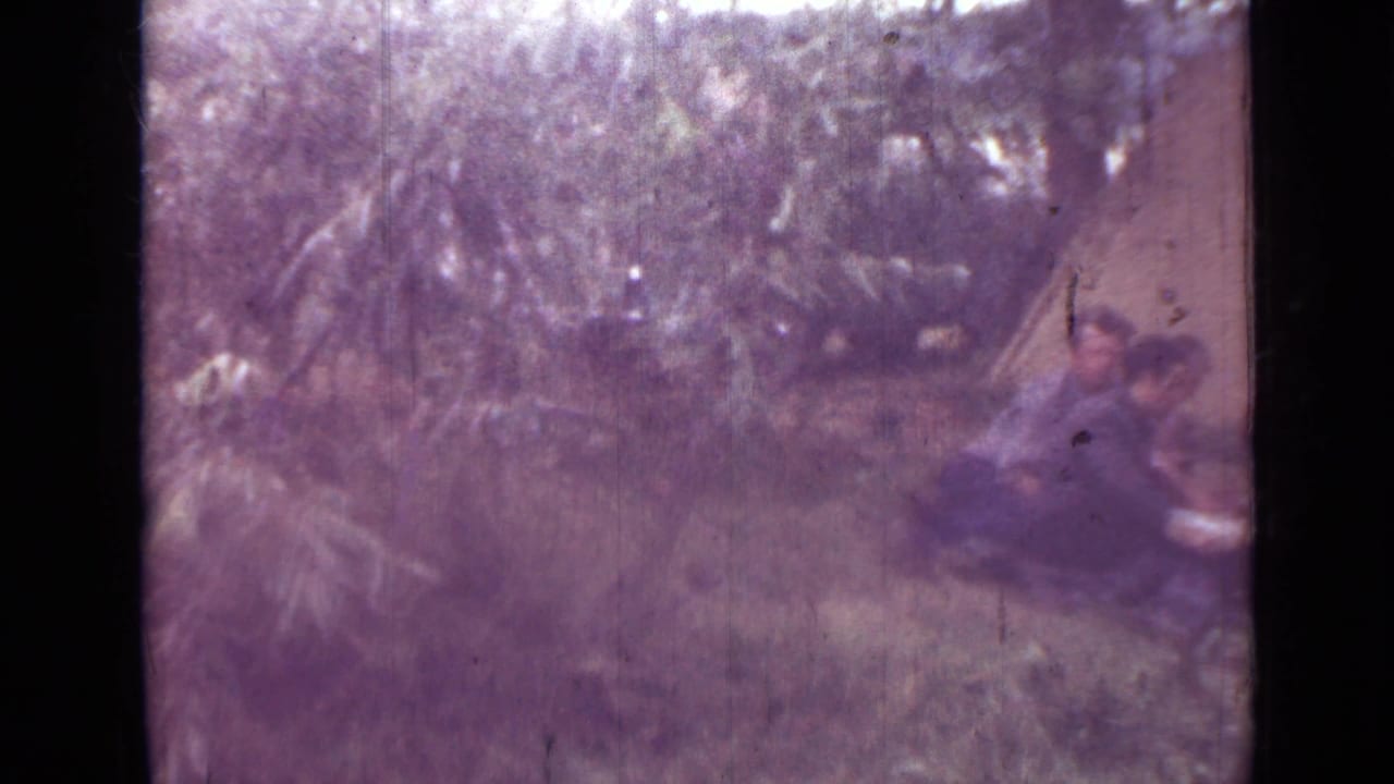 1967 8mm home-movie frame from the Saint Petersburg metadata showing seated campers near trees with smoke or haze in the campsite.