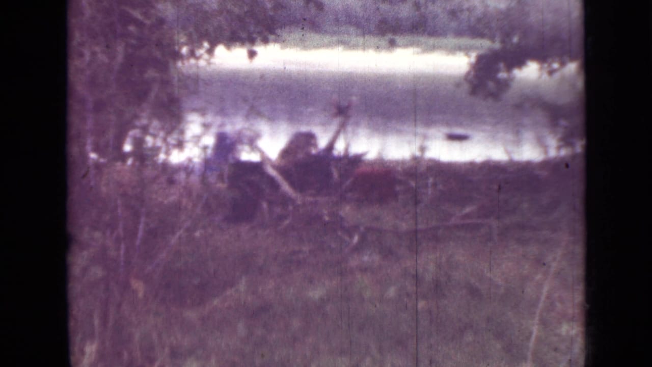 Trees and brush beside pale water, with a faint distant figure near the shoreline.