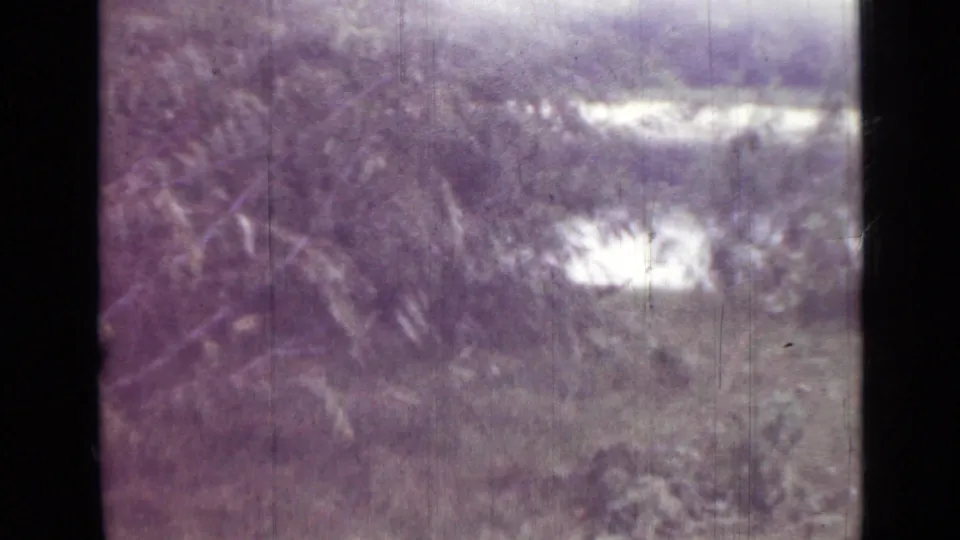 1967 Saint Petersburg home-movie frame showing bushes, grassy ground, and a bright reflective body of water beyond the trees.