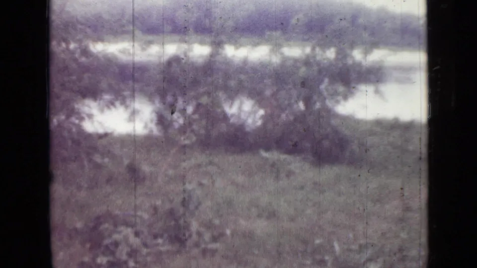 Faded 8mm outdoor view from the Saint Petersburg reel, with grass and foliage in front of a reflective water surface.