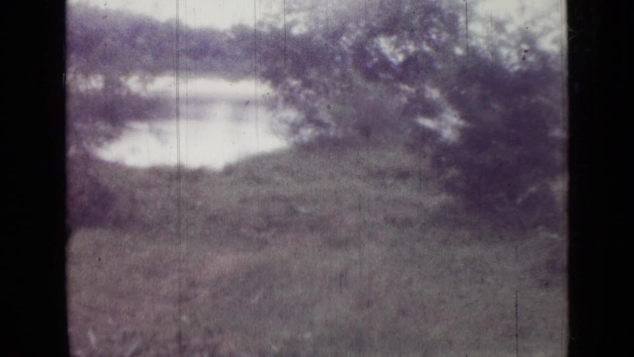 Grassy area and water partly framed by trees and dark film edges.