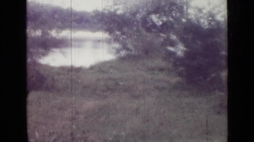 1967 Saint Petersburg home-movie view of grass, water, and trees, with heavy dark framing from the film scan.