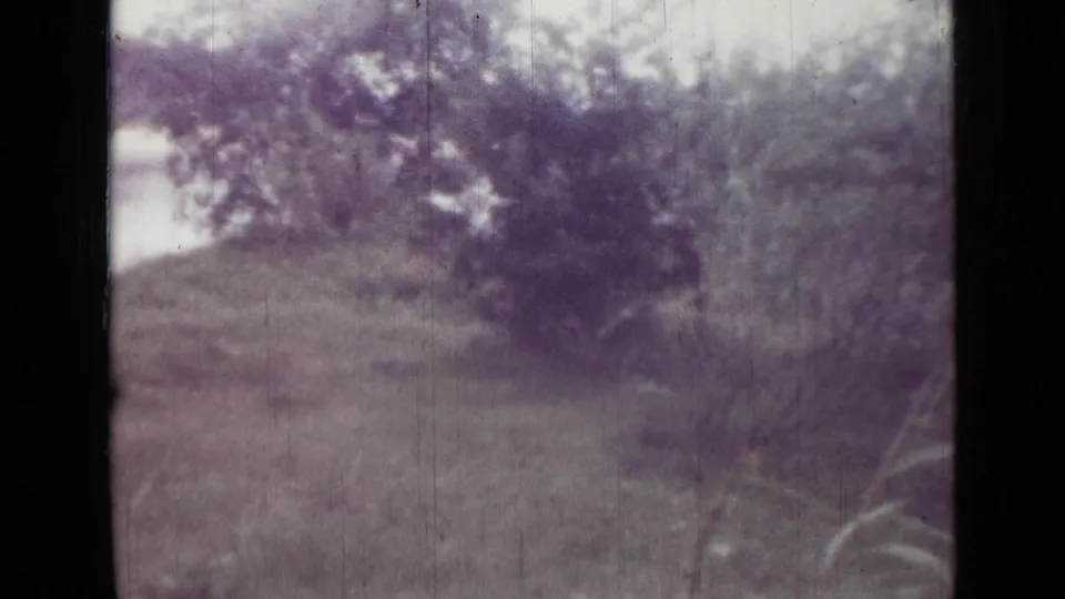 A 1967 8mm Saint Petersburg outdoor frame with grass, leafy trees, and water visible beyond the bank.