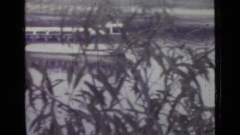 The passing boat is partly hidden by dark foreground foliage, reinforcing the shoreline viewpoint in the Saint Petersburg home movie.
