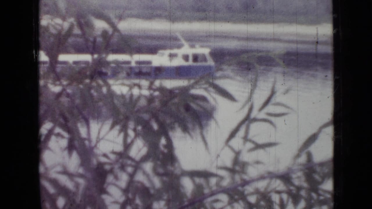 Passenger boat crossing a lake behind dark tree branches.