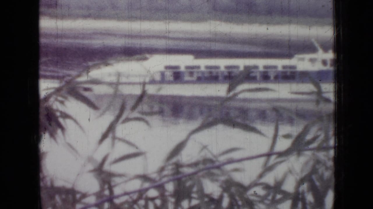 White boat on water seen through branches and a dark vertical frame edge.