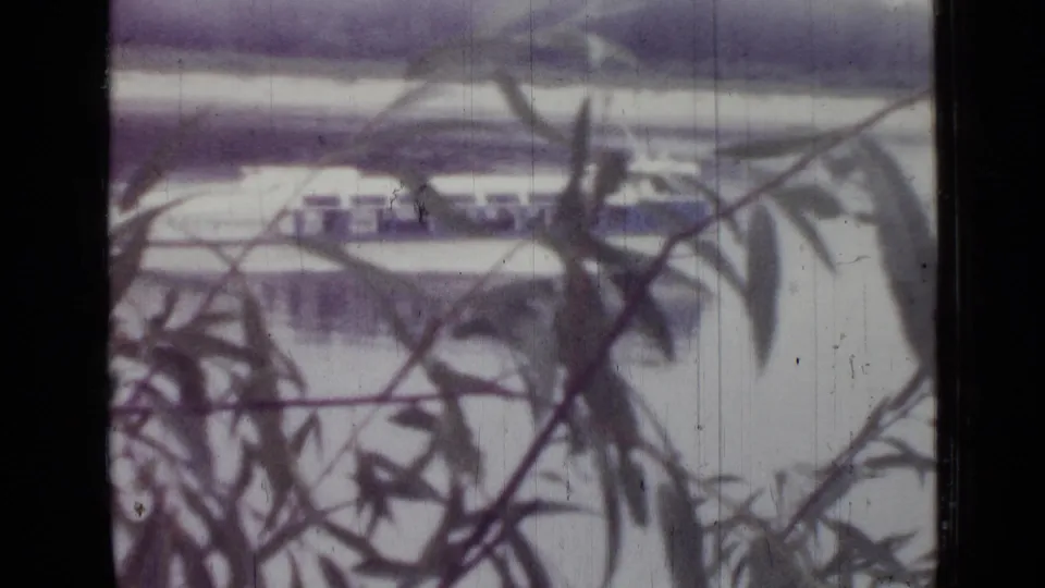 Distant passenger boat partly covered by foreground foliage in purple-tinted 1967 home-movie footage.