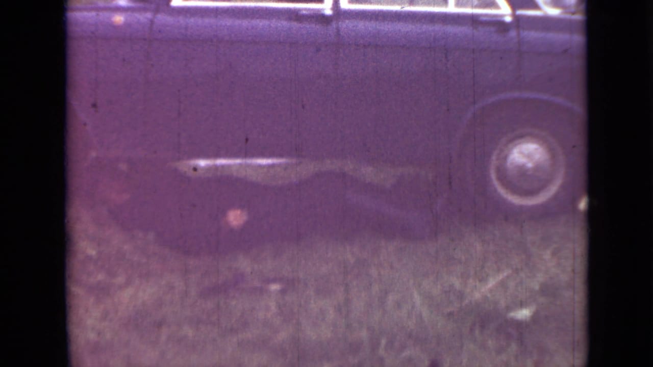 Dark car side and wheel on grass with purple film cast and frame border.