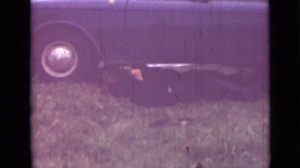 1967 Saint Petersburg 8mm frame with the dark car side and wheel over grass, bordered by the physical film scan and purple aging artifacts.
