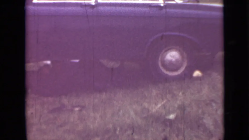 Final 8mm frame shows the sedan side and wheel on grass, with part of the person still visible below the car.