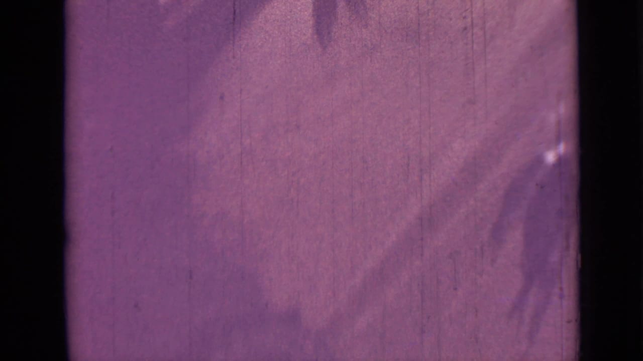 1967 8mm frame from Saint Petersburg metadata, showing a faint hooked fish shape against a purple-shifted surface.