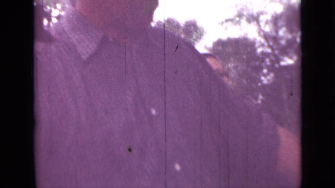 Soft 8mm frame of an adult in a collared shirt outdoors beside foliage.