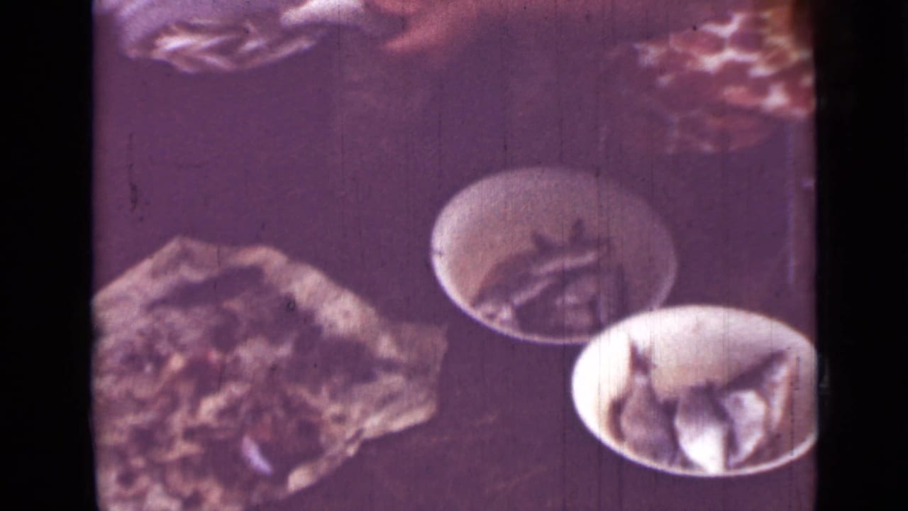 Small fish and white bowls on a dark surface with a woman partly visible.