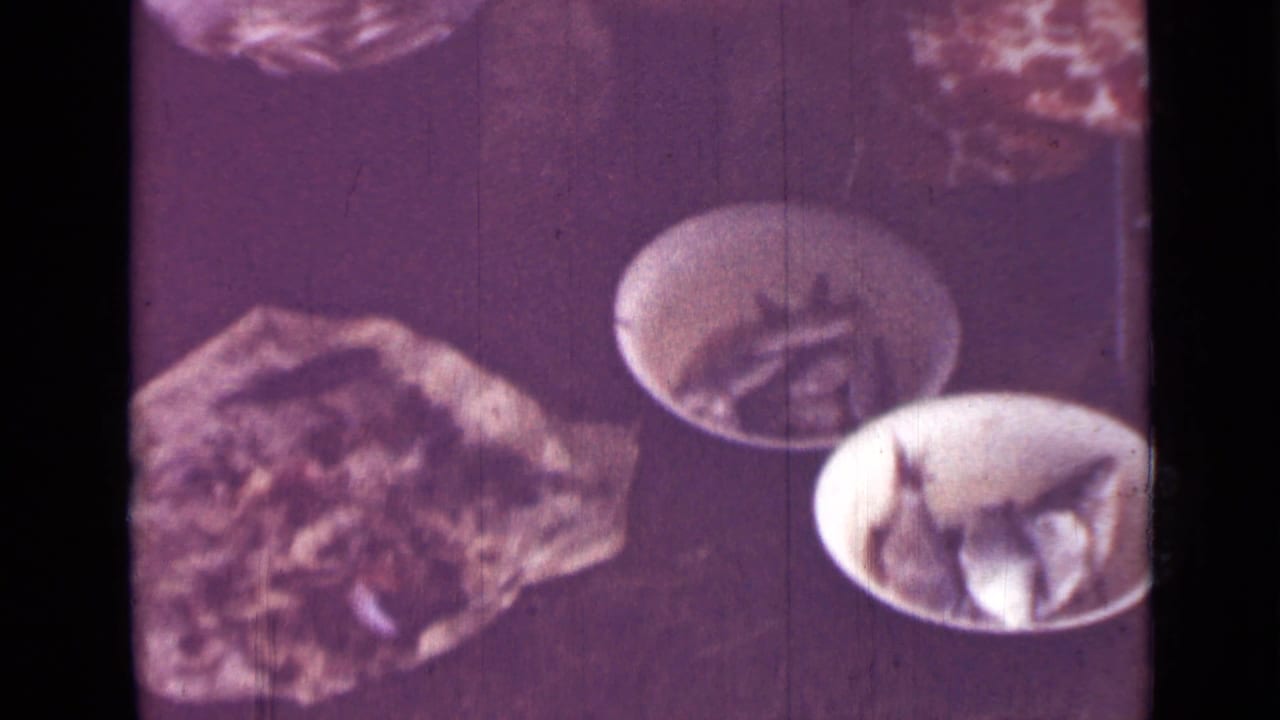 1967 Saint Petersburg frame with white bowls, small fish, and a close household food-preparation setup seen in purple-tinted 8mm footage.