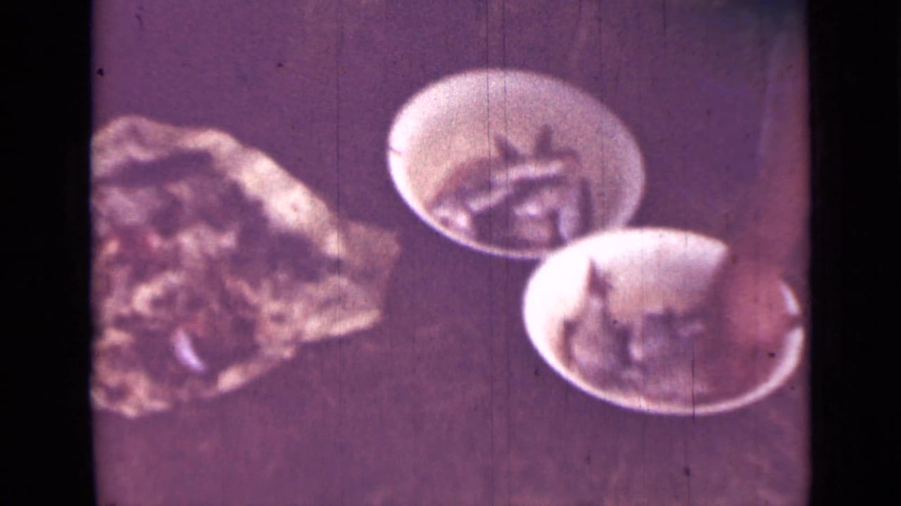 1967 Saint Petersburg home-movie frame showing small fish in white bowls on a tabletop with a purple 8mm color cast.