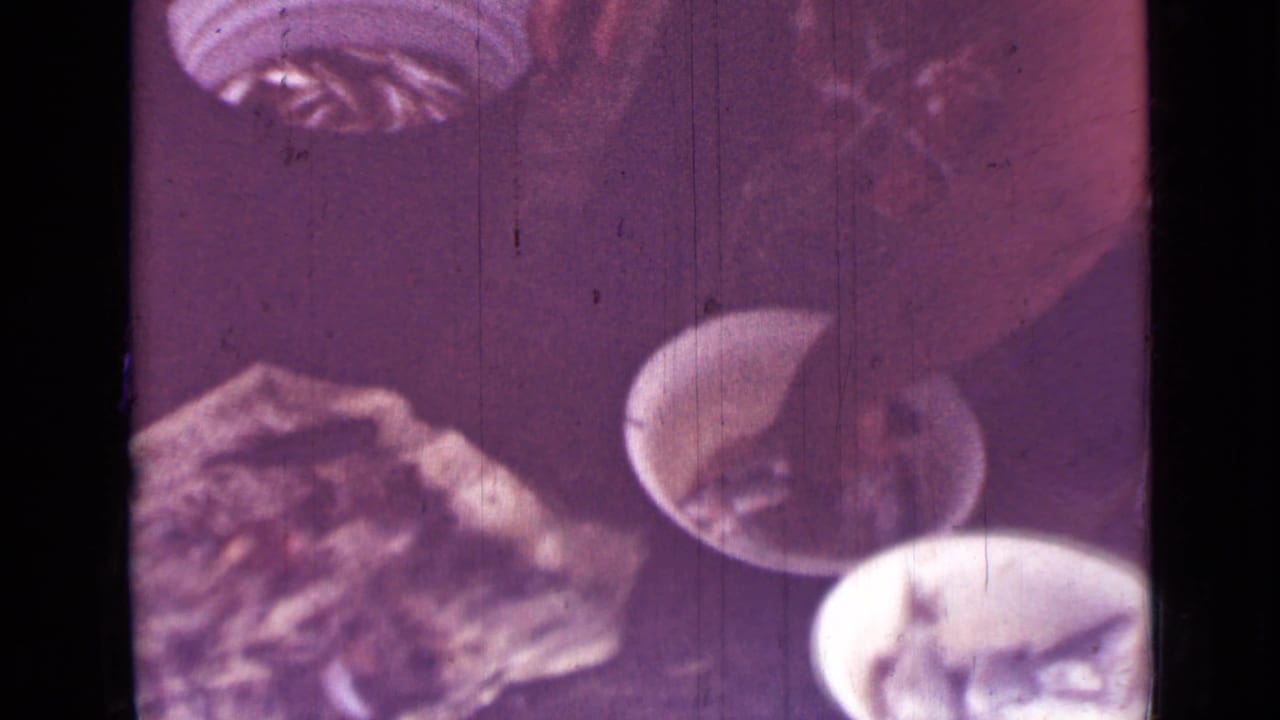 Several white bowls with small fish arranged around a rough work surface.
