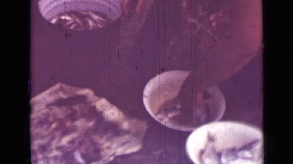 Close 8mm view of bowls containing small fish, with a textured preparation area visible in the frame.