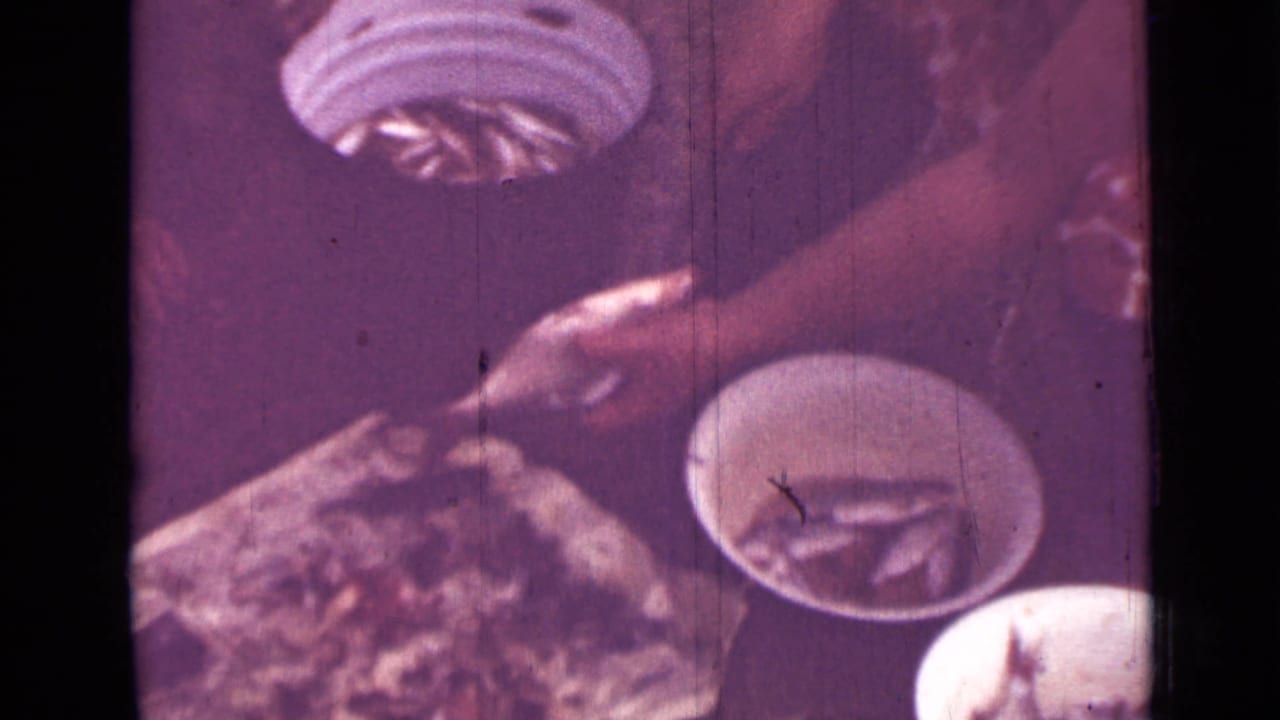 A person’s hand reaches into a bowl of small fish during 1967 Saint Petersburg food preparation footage.