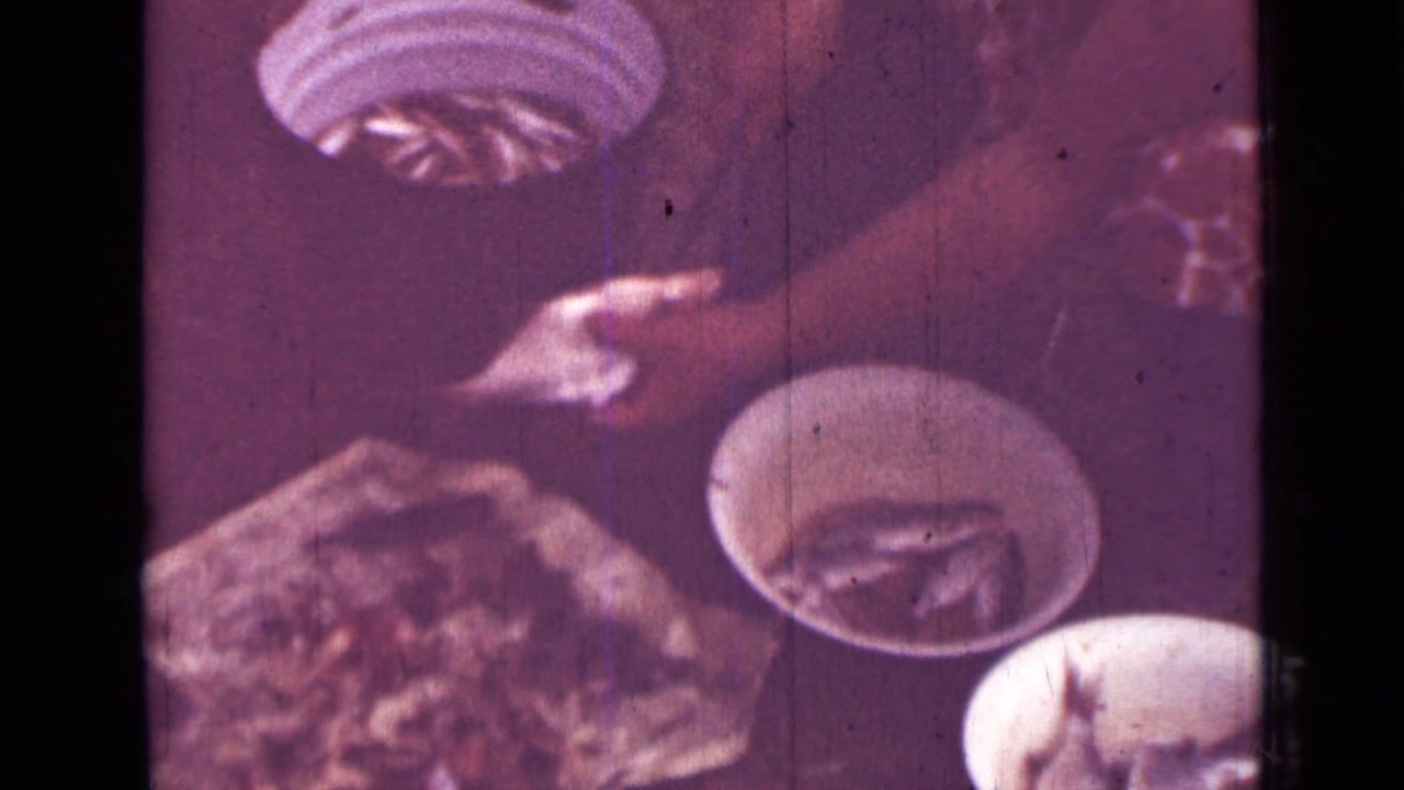 Handheld 8mm frame showing a person moving a small fish near white bowls during domestic food preparation.