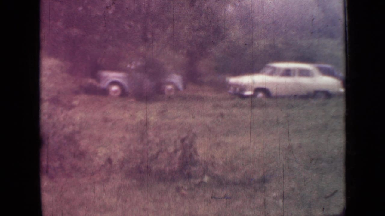 Two cars parked on grass near trees by a lake.