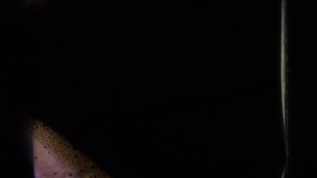 End frame from the 1967 8mm clip, mostly shadowed with a pale upper field and faint lakeside edge visible at right.