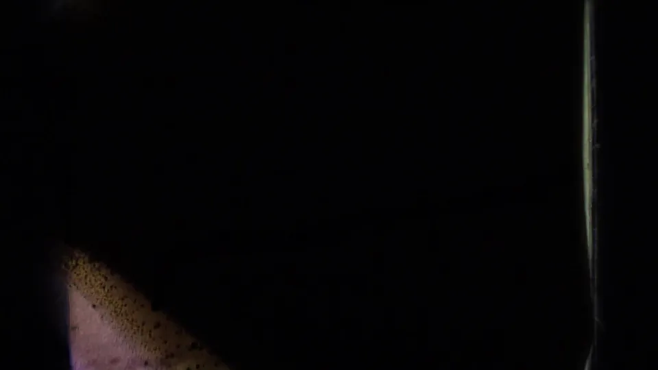 End frame from the 1967 8mm clip, mostly shadowed with a pale upper field and faint lakeside edge visible at right.