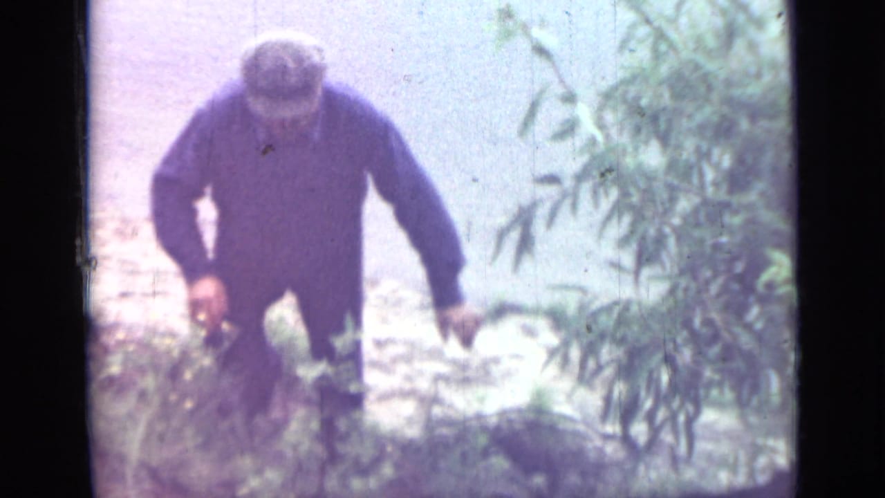 A man in dark clothing moves up uneven riverbank terrain beside foliage in the 1967 Saint Petersburg home-movie footage.