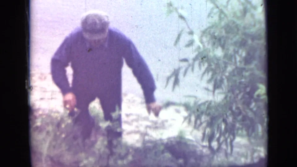 A man in dark clothing moves up uneven riverbank terrain beside foliage in the 1967 Saint Petersburg home-movie footage.