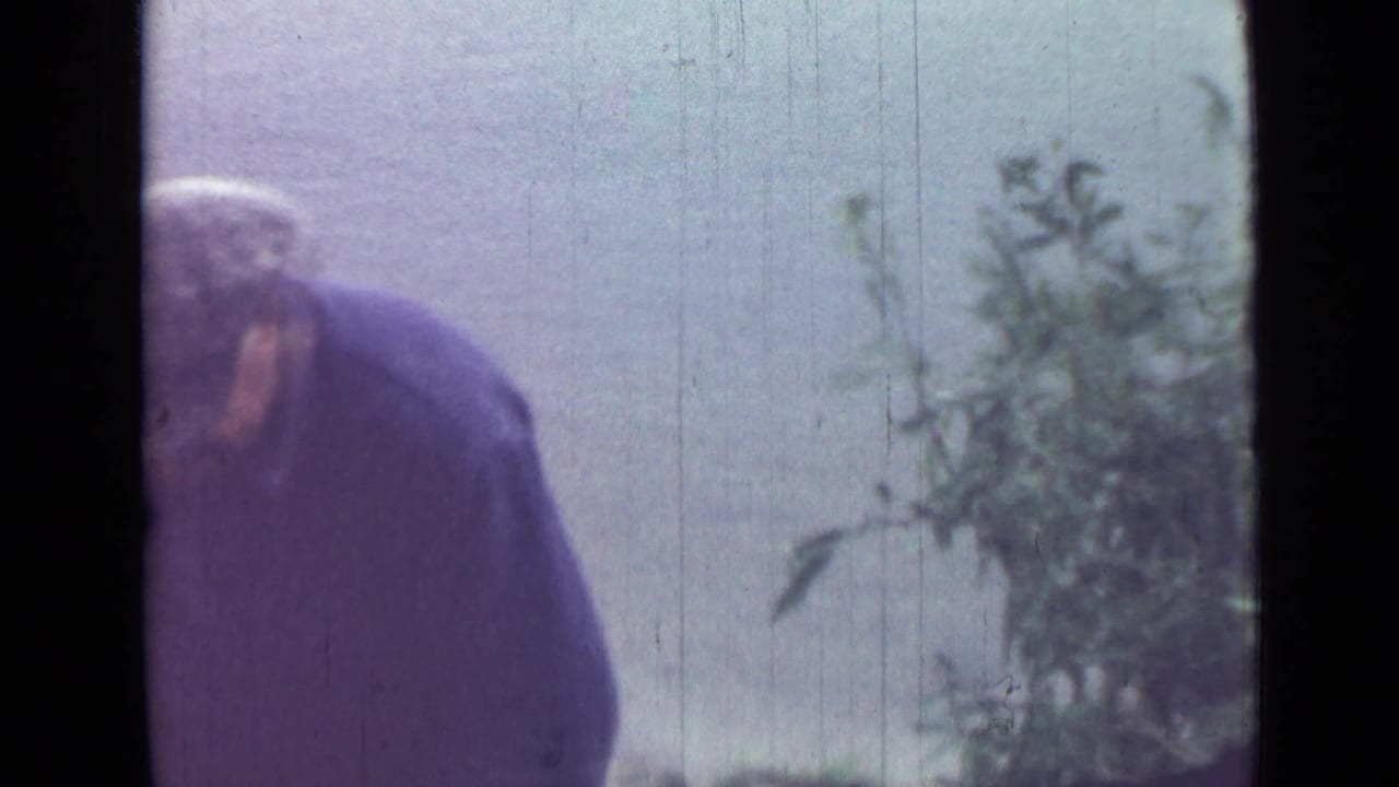 The final frame shows the man partly cropped as he bends beside a leafy plant, with soft 8mm color and vertical film wear visible.